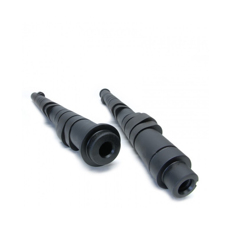 AAC Tuner Series Stage 3 - B16 et B18 - Skunk 2