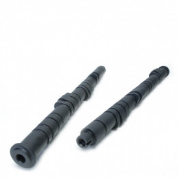 AAC Tuner Series Stage 3 - B16 et B18 - Skunk 2