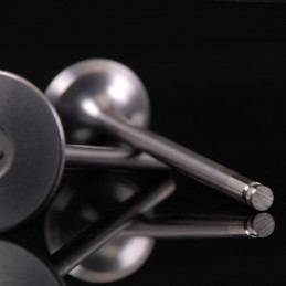 Soupapes ULTRA SERIES HC - B16 et B18 - Skunk 2