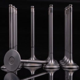 Soupapes ULTRA SERIES HC - B16 et B18 - Skunk 2
